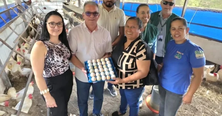 Arapiraca avança na implantação do Selo de Inspeção Municipal para fortalecer agricultura familiar