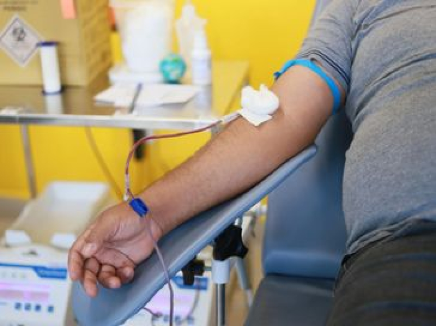 Hemoal tem estoque crítico de sangue e faz apelo urgente por doadores em Alagoas