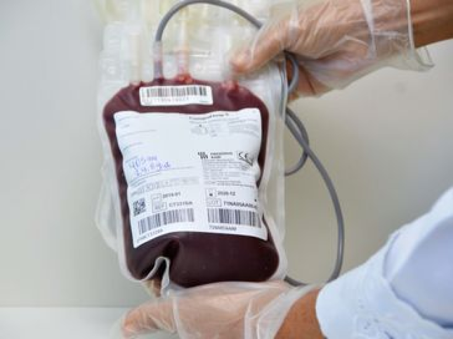 Hemoal realiza coleta de sangue em Coruripe nesta quinta-feira (3) para reforçar estoque em Alagoas