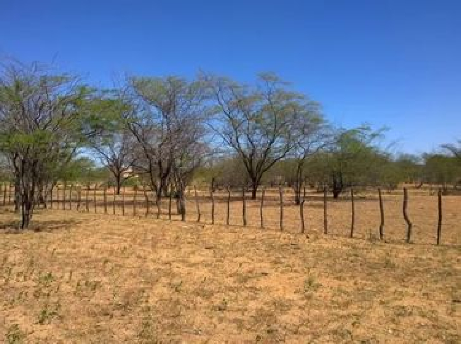 Inmet alerta para baixa umidade em 16 cidades do Sertão de Alagoas nesta sexta