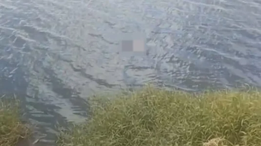 Pescadores encontram corpo de homem no Lago da Perucaba, em Arapiraca