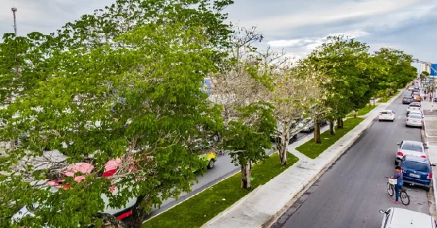 Avenida Ceci Cunha não será interditada neste domingo em Arapiraca