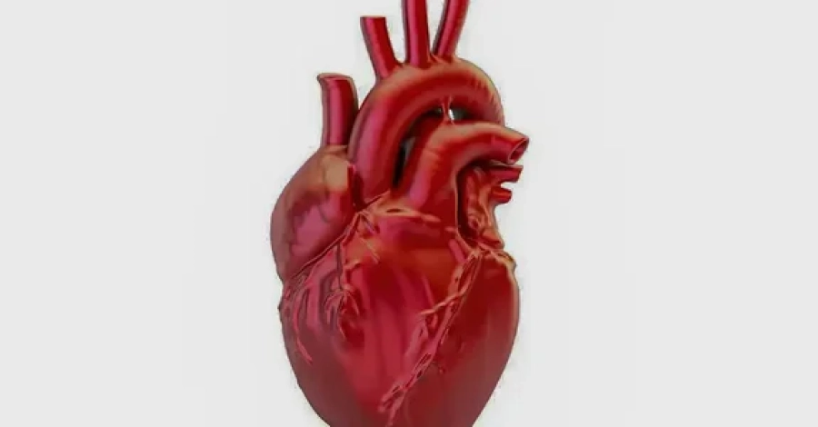 Alagoas lidera ranking nacional de mortes por doenças cardiovasculares