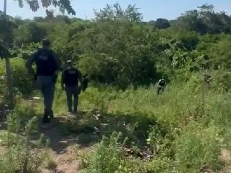 Polícia procura armas usadas em dupla tentativa de homicídio em Alagoas