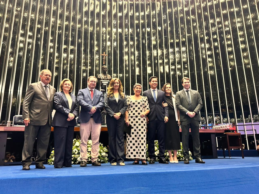 No Senado, ex-prefeita e ex-deputada federal Célia Rocha é homenageada com a Comenda Ceci Cunha