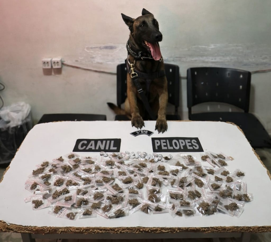 PM apreende adolescentes com maconha e cocaína