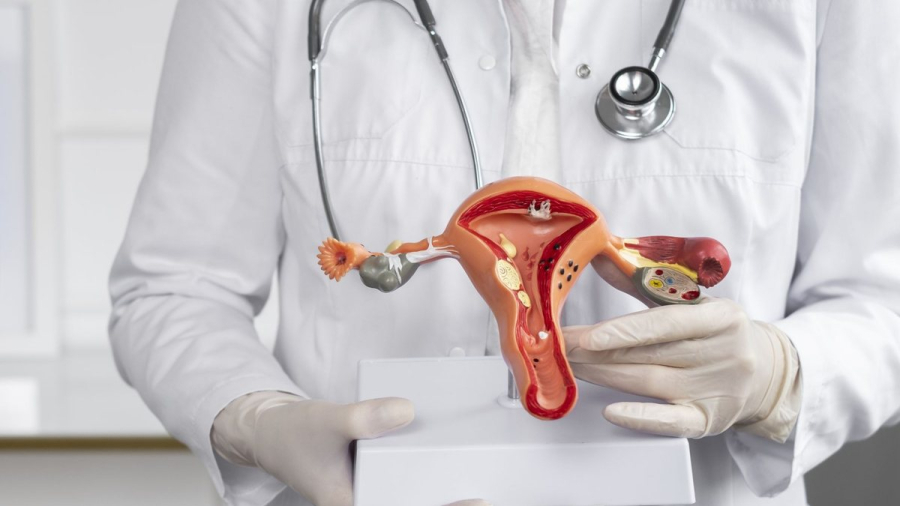 Alagoas tem o terceiro maior aumento de internações por endometriose no Brasil