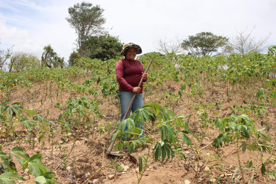 Mais de 20 mil agricultores alagoanos vão receber Garantia-Safra neste mês de março