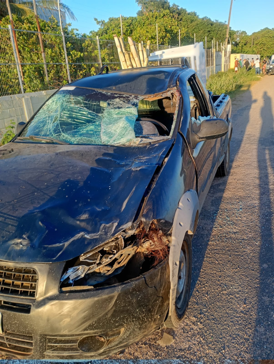 Acidente envolvendo três veículos e animal é registrado na AL 220, em Arapiraca