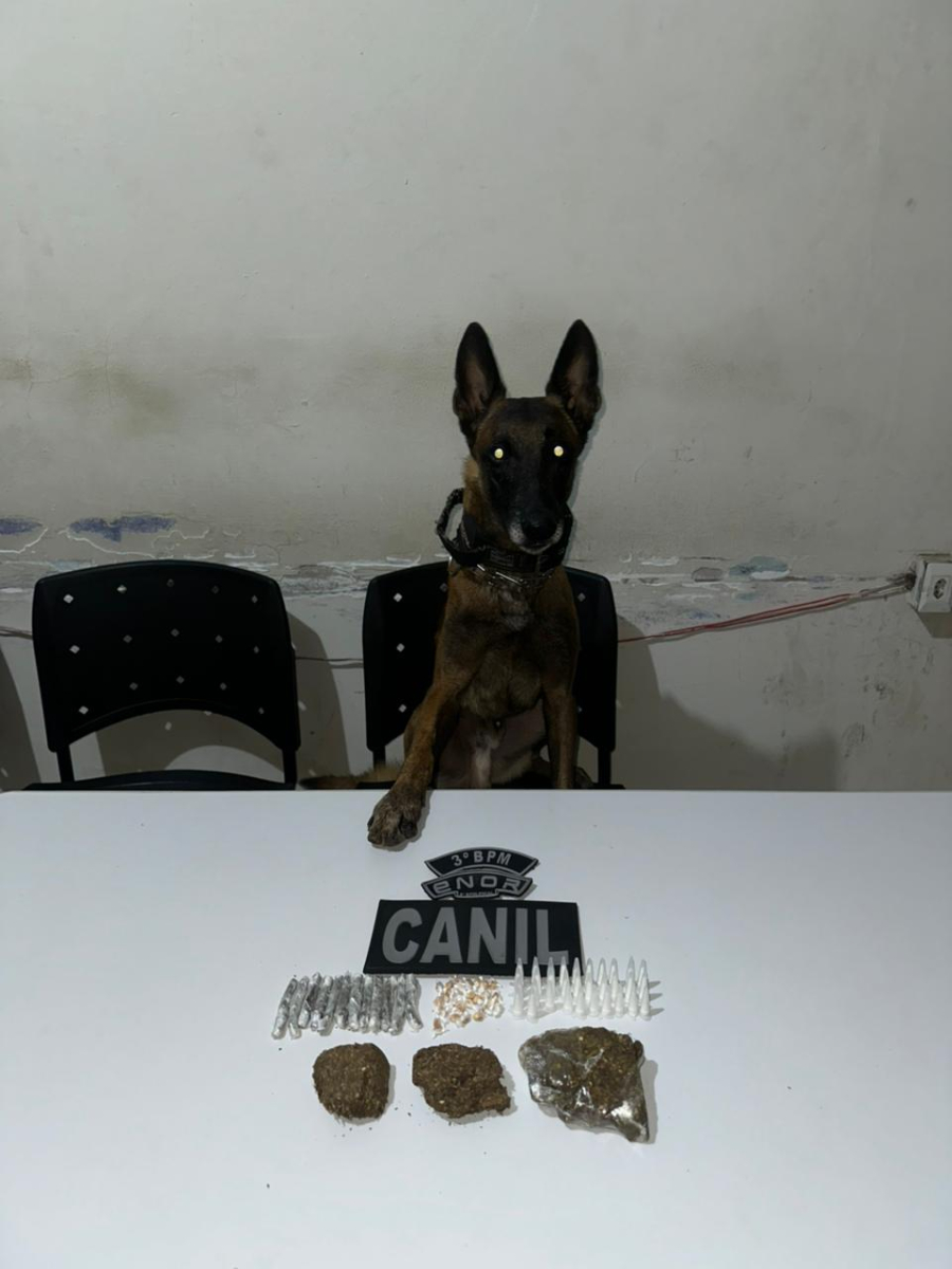 PM apreende drogas na zona rural de Arapiraca; suspeito conseguiu fugir 