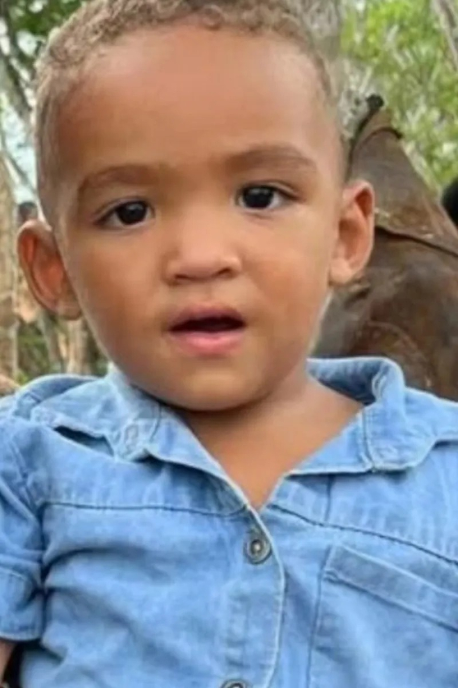 Criança de 3 anos morre após colisão entre moto e ônibus escolar em Pão de Açúcar