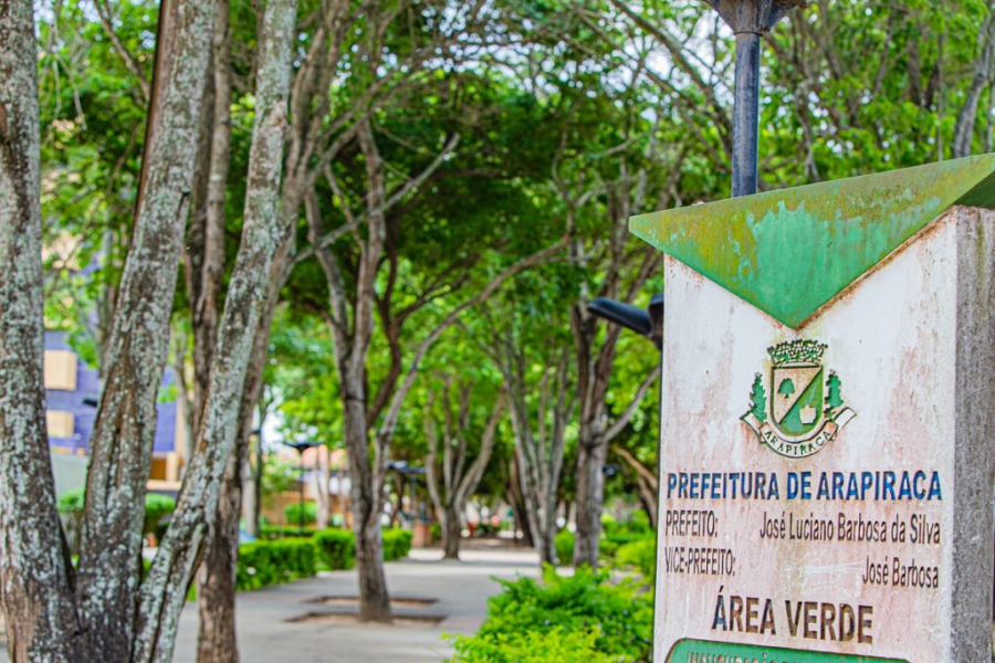 Arapiraca regulamenta compensação ambiental para supressão de árvores no município