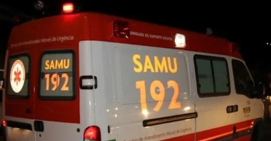 Cavalo morre após invadir rodovia e causar acidente na AL-115 em Palmeira dos Índios