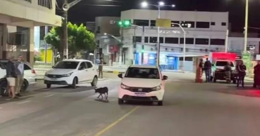 SSP e Polícia Civil investigam morte de agentes em Delmiro Gouveia; suspeito foi preso em flagrante