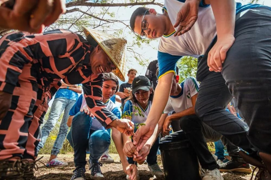 Arapiraca fortalece compromisso ambiental com mais de 57 mil árvores plantadas