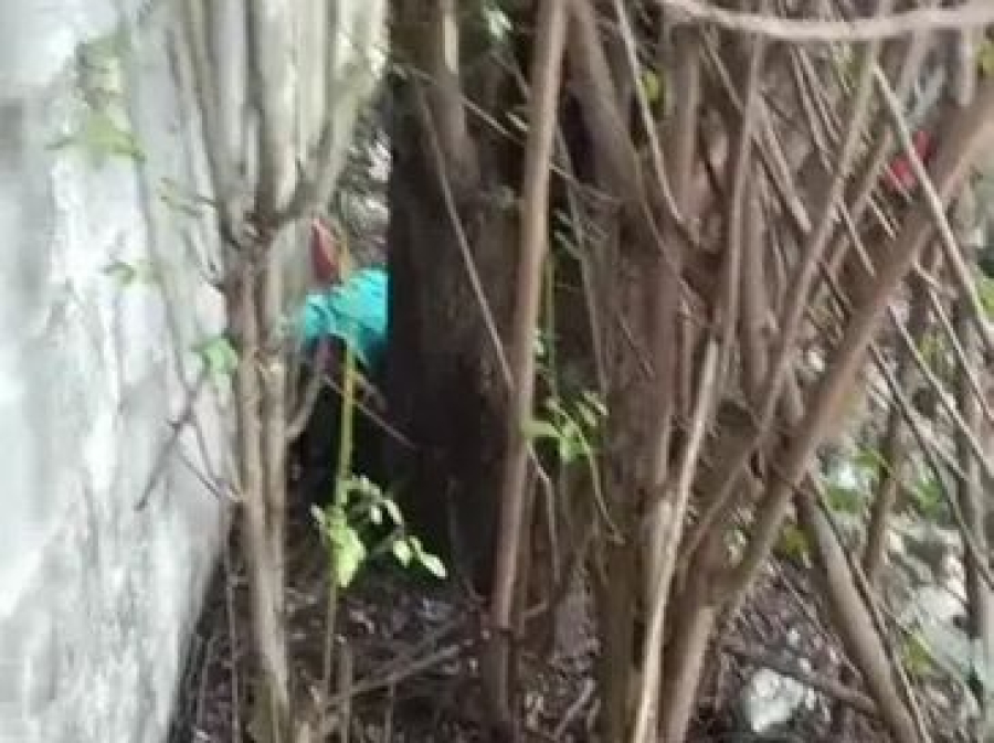 Homem é perseguido e morto a tiros após tentar se esconder em área no Tabuleiro