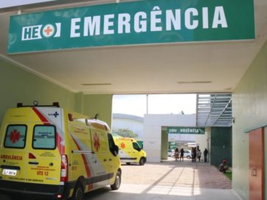 Criança é ferida por cachorro em bairro de Arapiraca e caso vai parar na polícia