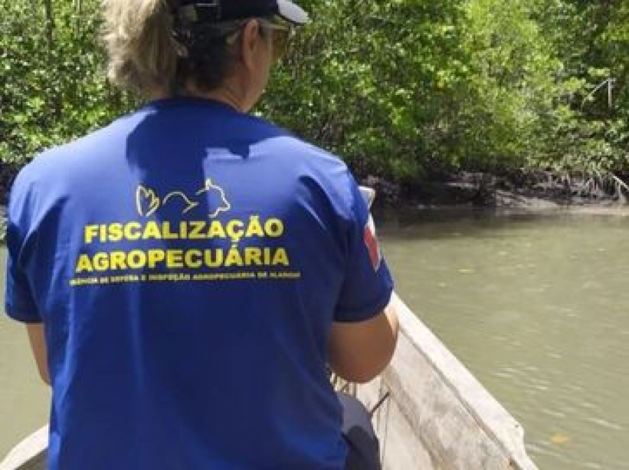 Governo de Alagoas cria comissão e avança com novo concurso da Adeal