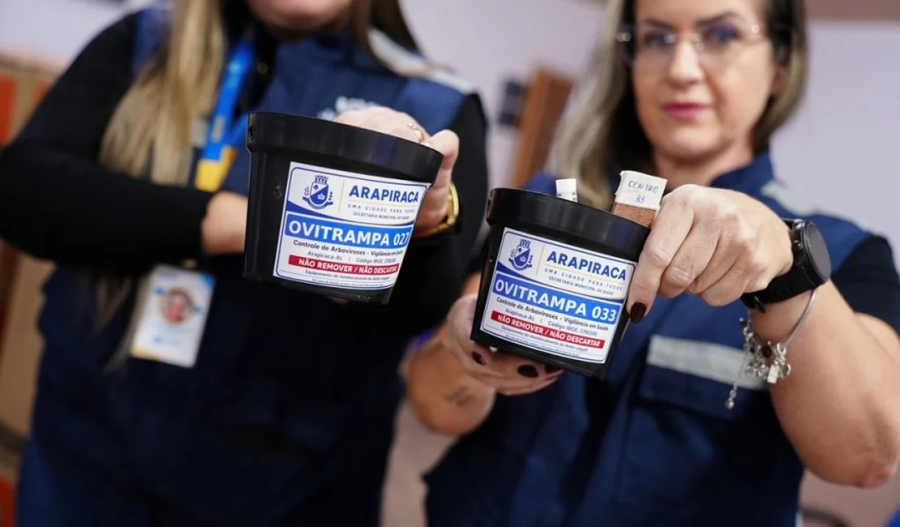 Arapiraca implanta ovitrampas para reforçar combate ao mosquito da dengue