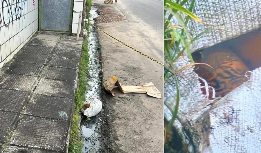 Polícia Civil prende segundo suspeito de envolvimento na morte da adolescente Maria Vitória