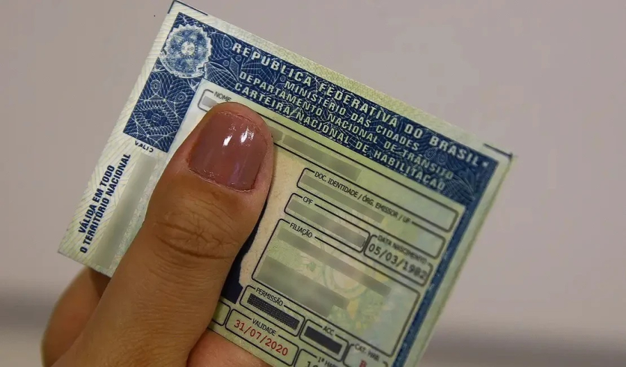Câmara aprova punição mais dura para motorista que abandonar animais